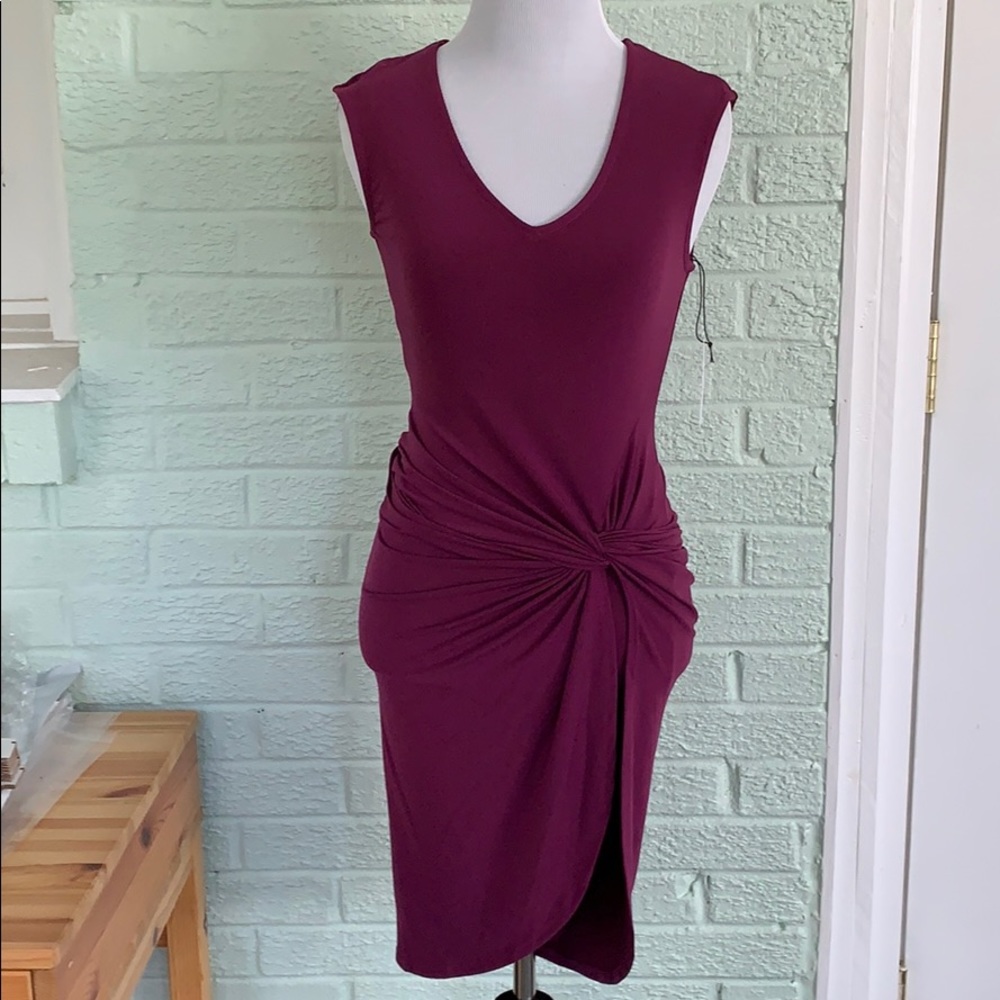 NWT Velvet stretchy dress purple/plum XS
